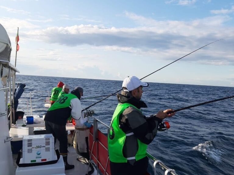 Reef Fishing 4h From Vilamoura.